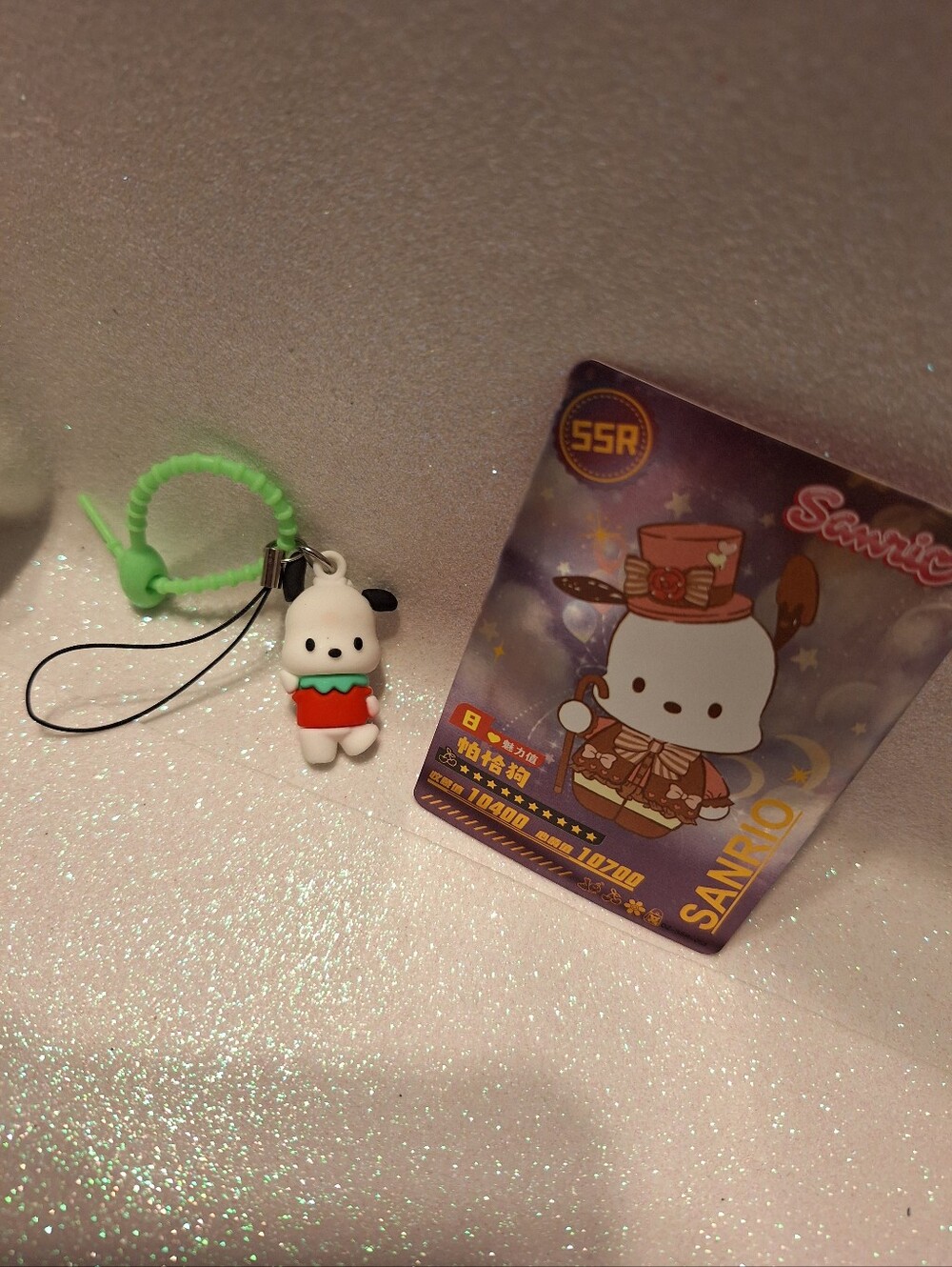 Pochacco Set Keychain Zipper Pull And Trading Card New